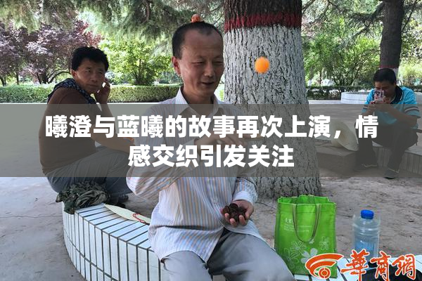 曦澄与蓝曦的故事再次上演，情感交织引发关注