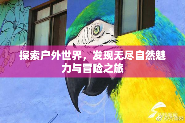 探索户外世界，发现无尽自然魅力与冒险之旅