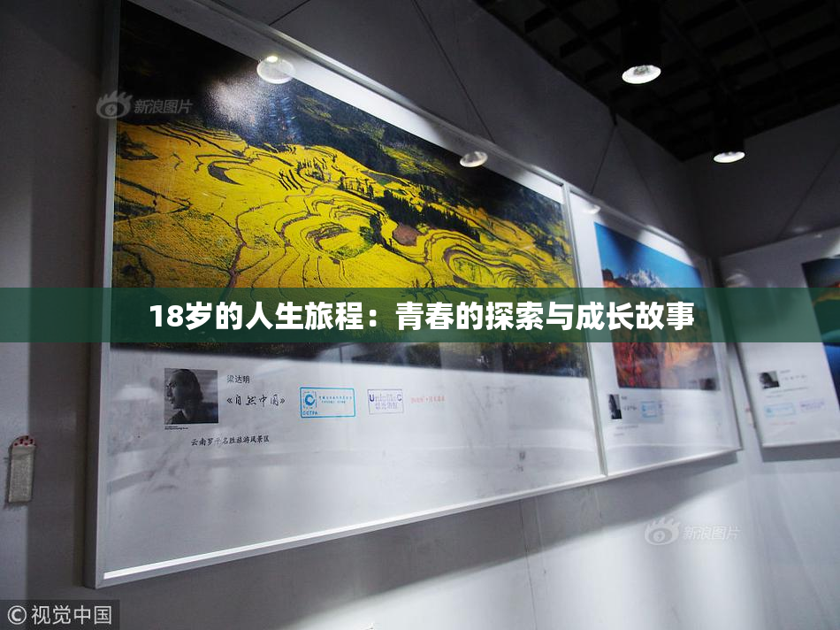 18岁的人生旅程：青春的探索与成长故事