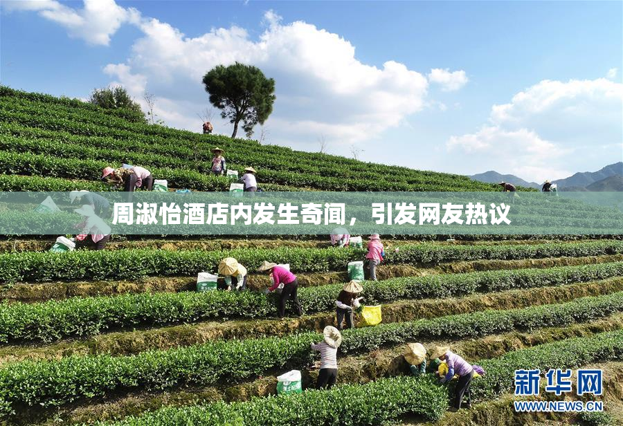 周淑怡酒店内发生奇闻，引发网友热议