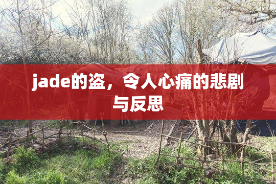 jade的盗，令人心痛的悲剧与反思