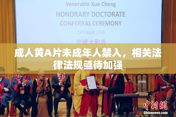 成人黄A片未成年人禁入，相关法律法规亟待加强