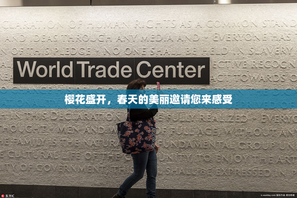 樱花盛开，春天的美丽邀请您来感受