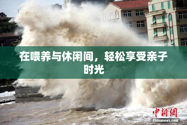 在喂养与休闲间，轻松享受亲子时光