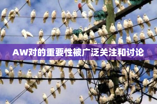 AW对的重要性被广泛关注和讨论