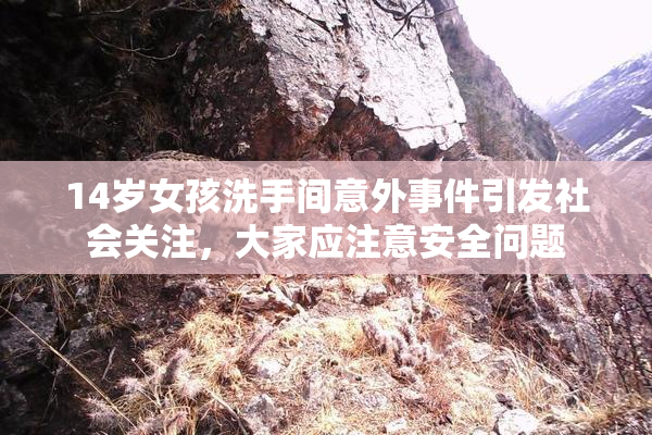 14岁女孩洗手间意外事件引发社会关注，大家应注意安全问题