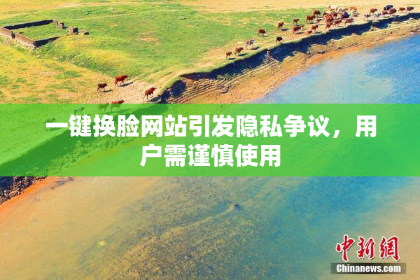 一键换脸网站引发隐私争议，用户需谨慎使用