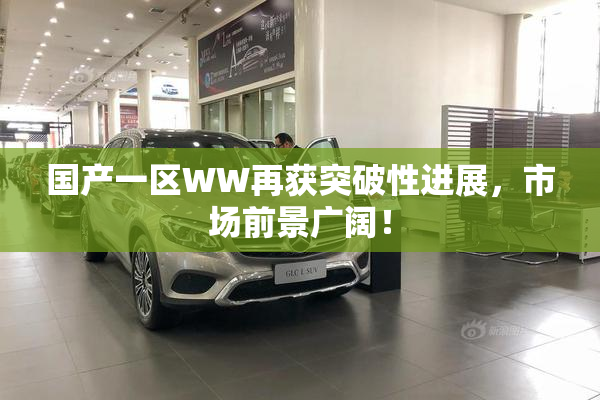 国产一区WW再获突破性进展，市场前景广阔！