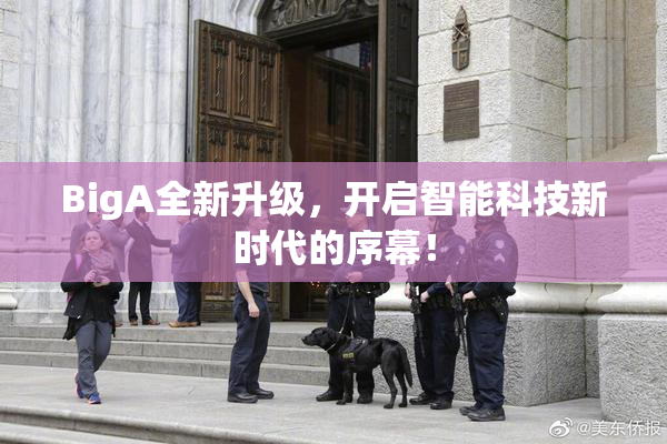 BigA全新升级，开启智能科技新时代的序幕！