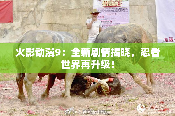 火影动漫9：全新剧情揭晓，忍者世界再升级！