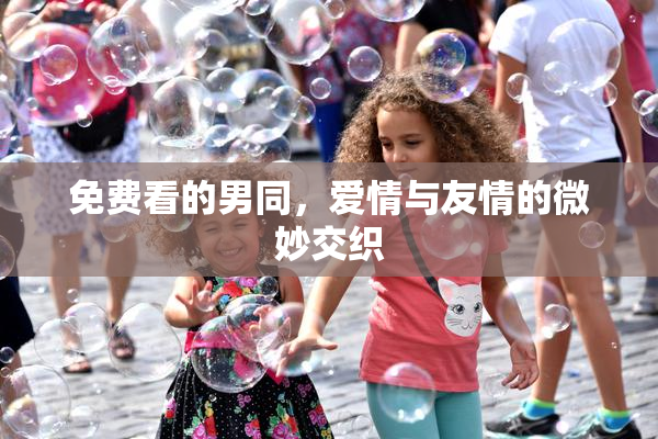 免费看的男同，爱情与友情的微妙交织