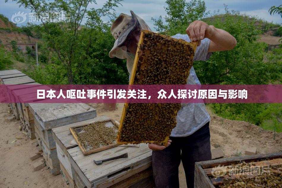 日本人呕吐事件引发关注，众人探讨原因与影响