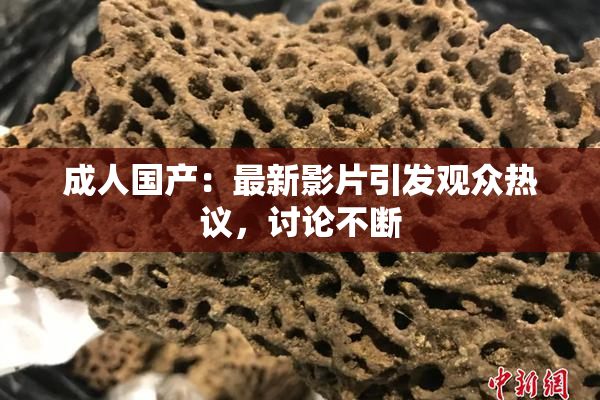 成人国产：最新影片引发观众热议，讨论不断