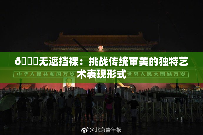 🔞无遮挡裸：挑战传统审美的独特艺术表现形式