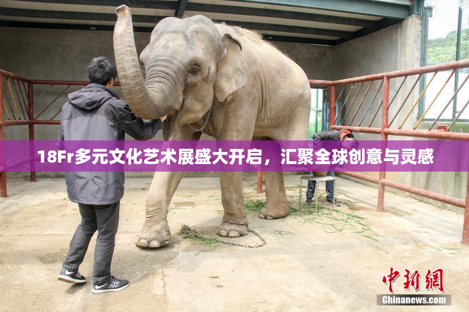 18Fr多元文化艺术展盛大开启，汇聚全球创意与灵感