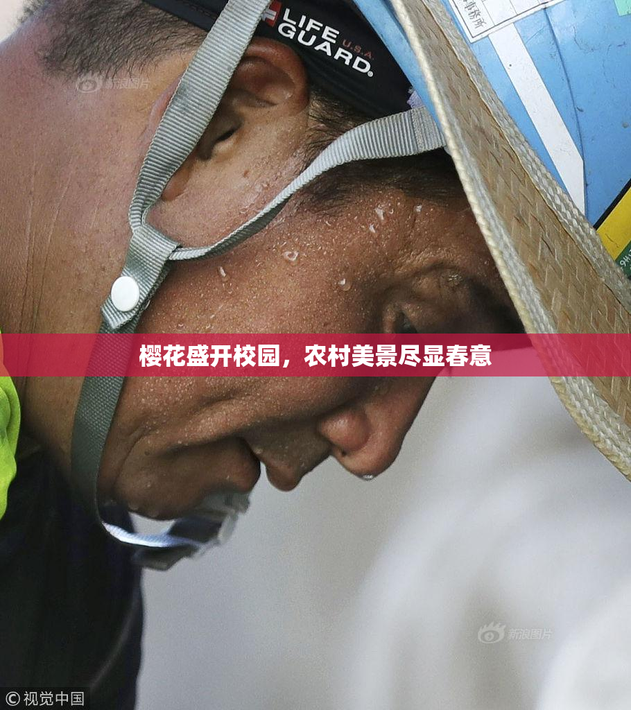 樱花盛开校园，农村美景尽显春意