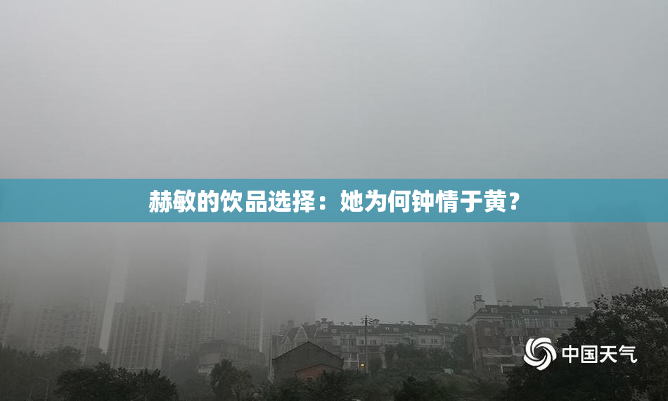 赫敏的饮品选择：她为何钟情于黄？