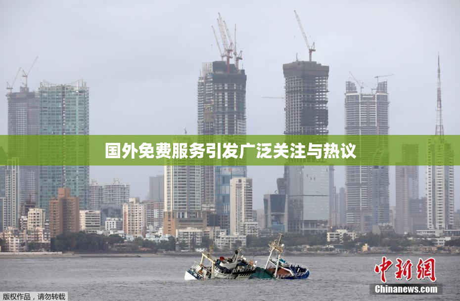 国外免费服务引发广泛关注与热议
