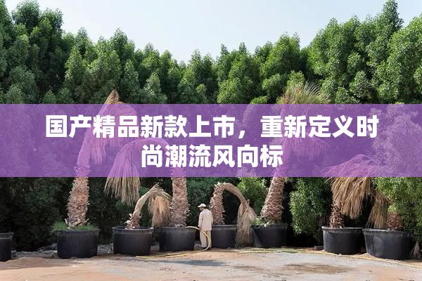 国产精品新款上市，重新定义时尚潮流风向标