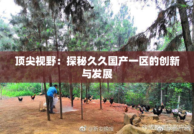 顶尖视野：探秘久久国产一区的创新与发展