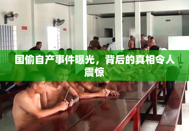 国偷自产事件曝光，背后的真相令人震惊