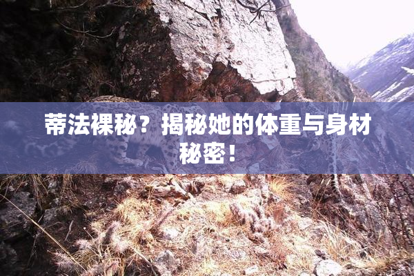 蒂法裸秘？揭秘她的体重与身材秘密！