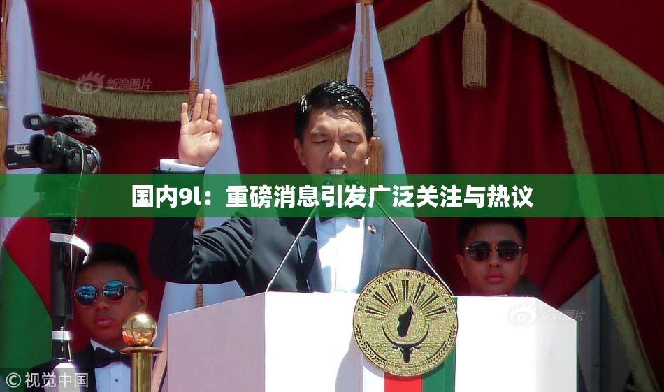 国内9l：重磅消息引发广泛关注与热议