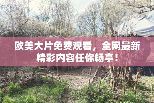 欧美大片免费观看，全网最新精彩内容任你畅享！