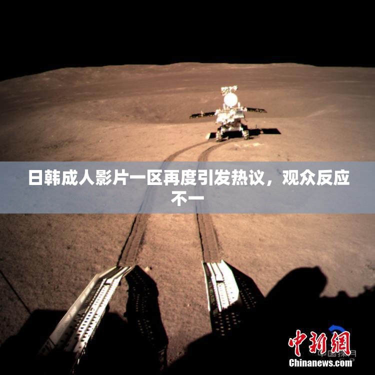 日韩成人影片一区再度引发热议，观众反应不一