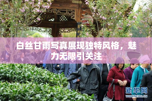 白丝甘雨写真展现独特风格，魅力无限引关注