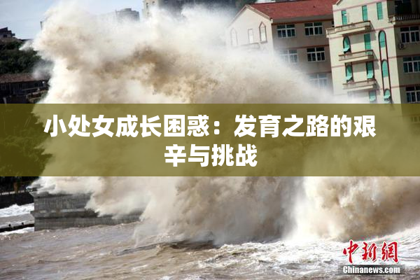 小处女成长困惑：发育之路的艰辛与挑战