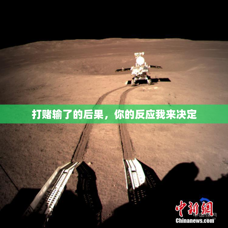 打赌输了的后果，你的反应我来决定