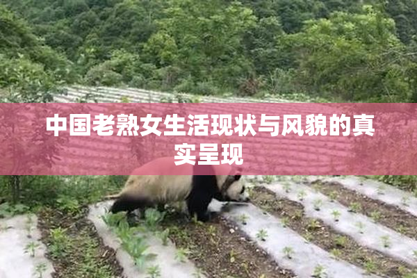 中国老熟女生活现状与风貌的真实呈现