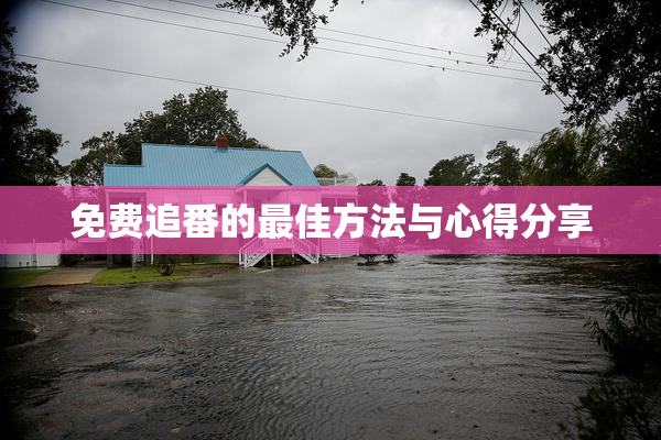 免费追番的最佳方法与心得分享