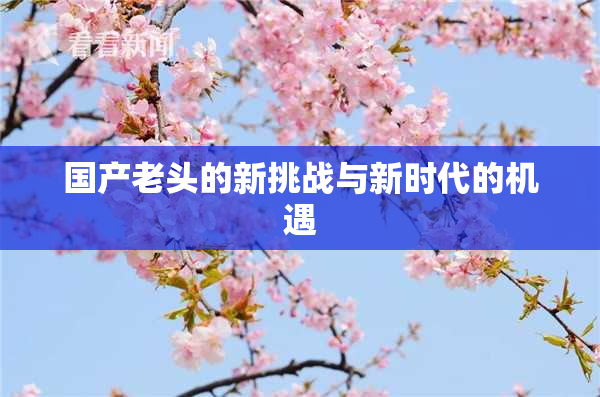 国产老头的新挑战与新时代的机遇