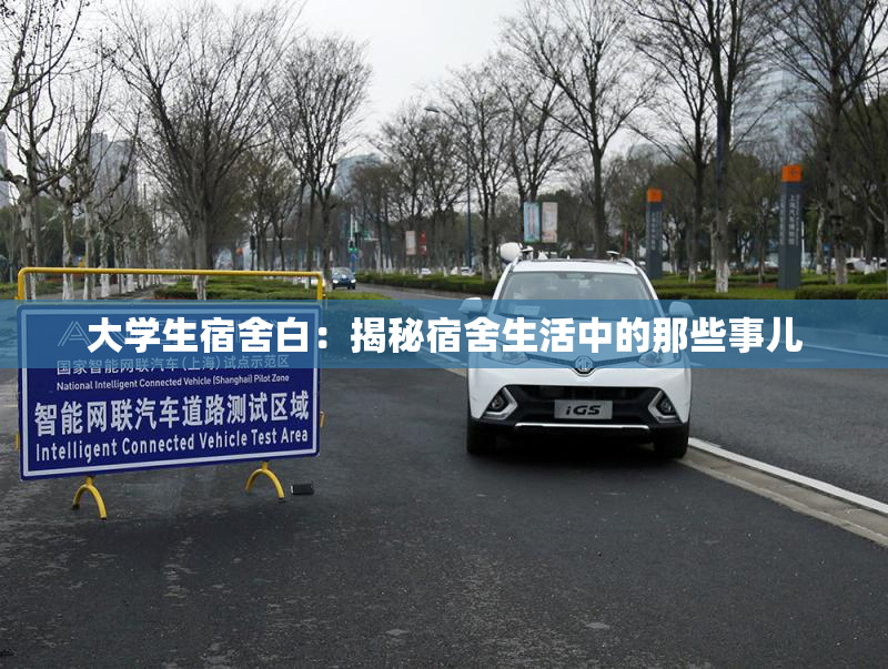 大学生宿舍白：揭秘宿舍生活中的那些事儿