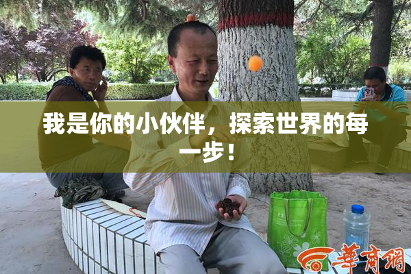 我是你的小伙伴，探索世界的每一步！
