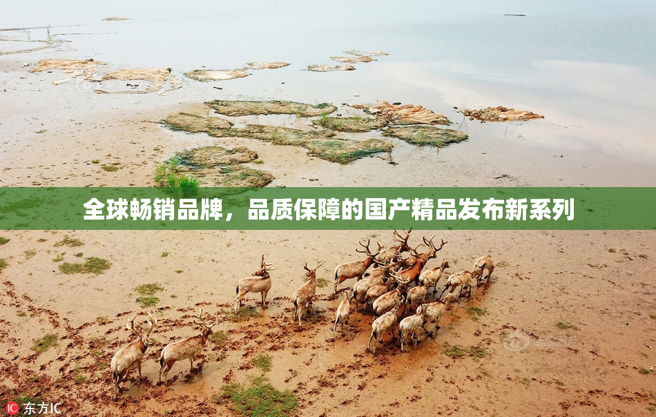全球畅销品牌，品质保障的国产精品发布新系列