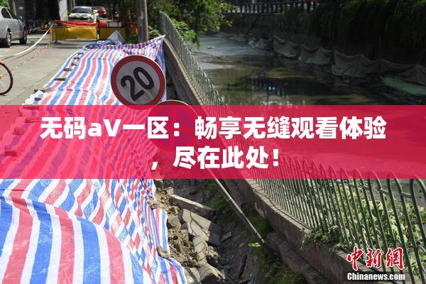 无码aV一区：畅享无缝观看体验，尽在此处！