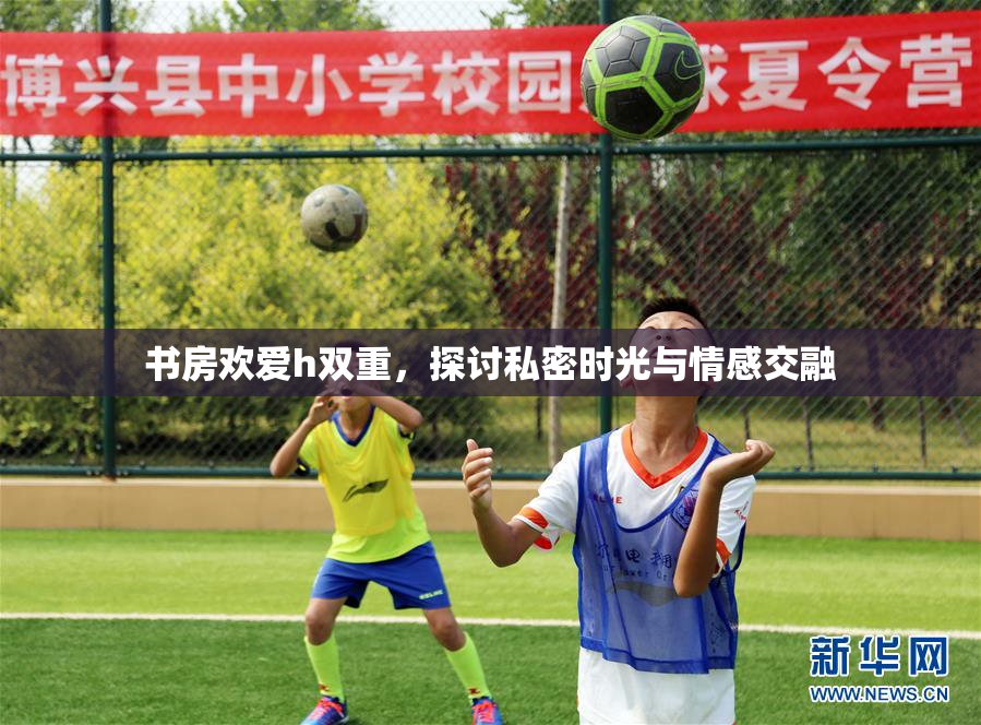 书房欢爱h双重，探讨私密时光与情感交融