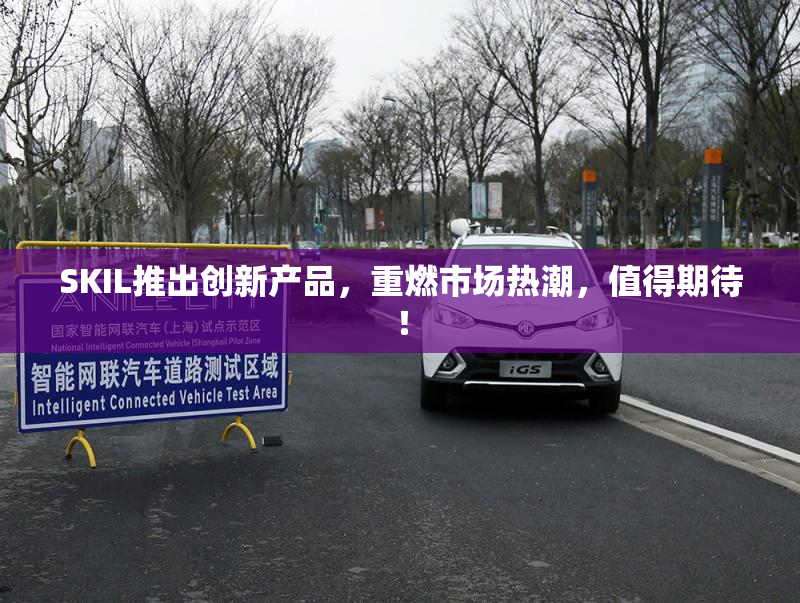 SKIL推出创新产品，重燃市场热潮，值得期待！