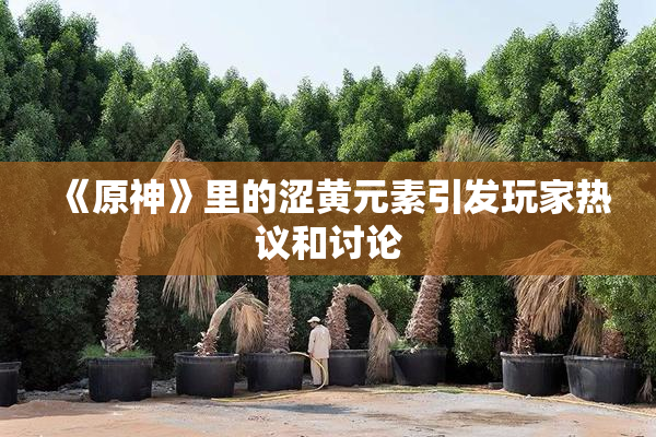 《原神》里的涩黄元素引发玩家热议和讨论