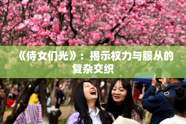 《侍女们光》：揭示权力与服从的复杂交织