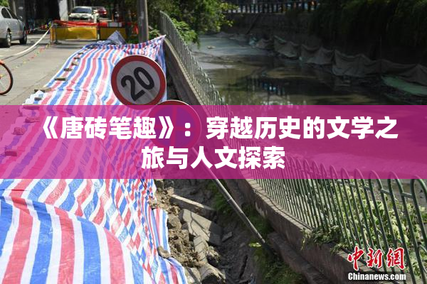 《唐砖笔趣》：穿越历史的文学之旅与人文探索