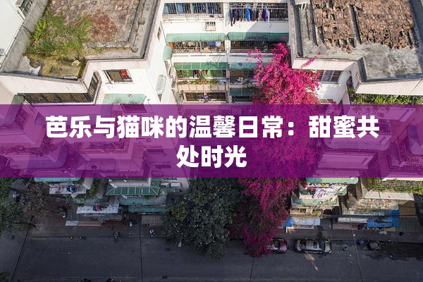 芭乐与猫咪的温馨日常：甜蜜共处时光