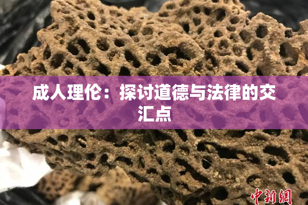 成人理伦：探讨道德与法律的交汇点