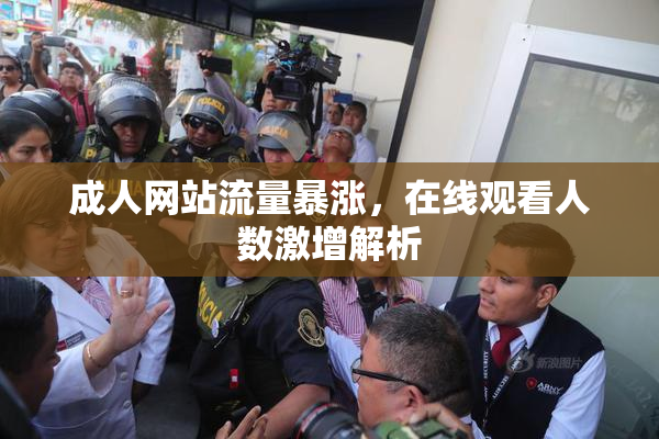 成人网站流量暴涨，在线观看人数激增解析