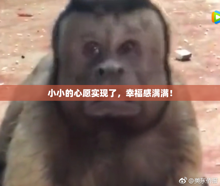 小小的心愿实现了，幸福感满满！