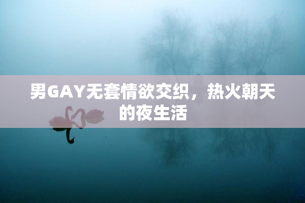 男GAY无套情欲交织，热火朝天的夜生活