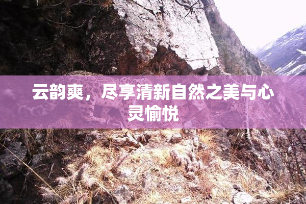 云韵爽，尽享清新自然之美与心灵愉悦